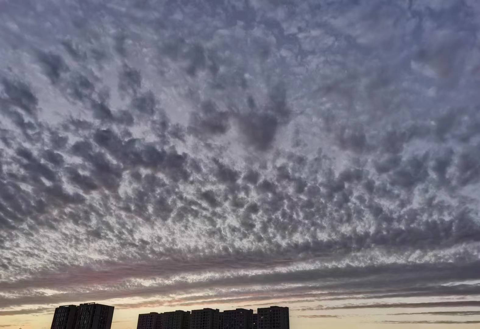 9月6号星期三 生肖财运位居榜首-第3张图片-太平洋在线下载