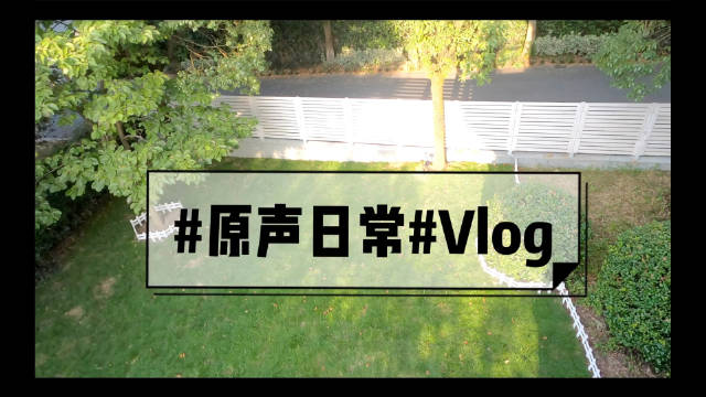 关于央视新闻客户端vlog的信息-第2张图片-太平洋在线下载