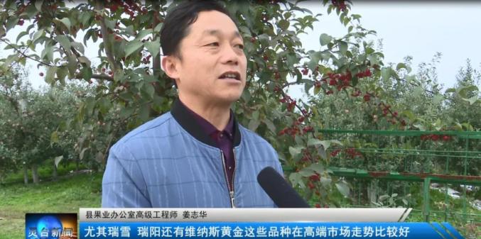云南苹果今日新闻视频下载苹果手机下载的视频在哪里可以找到-第2张图片-太平洋在线下载