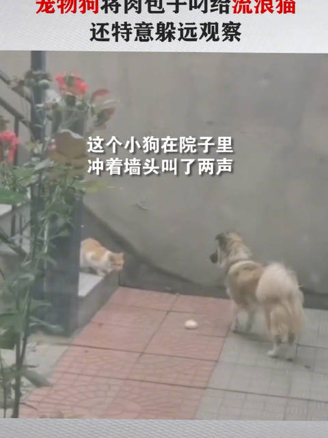 环球资讯手机怎么收听的简单介绍-第2张图片-太平洋在线下载