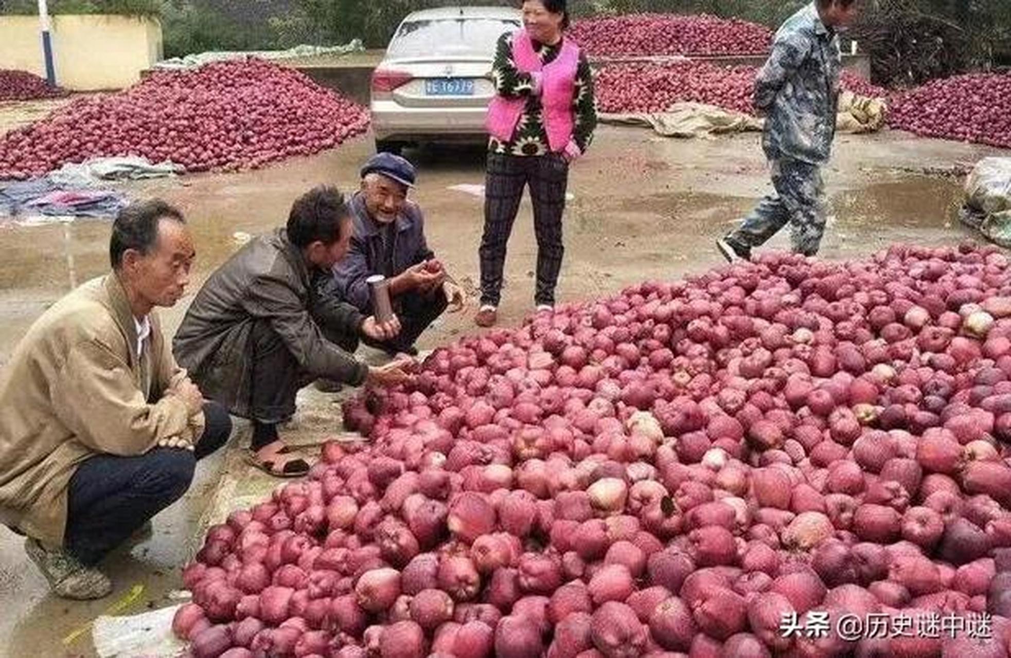 央视新闻湖南发苹果湖南新闻最新消息今天
