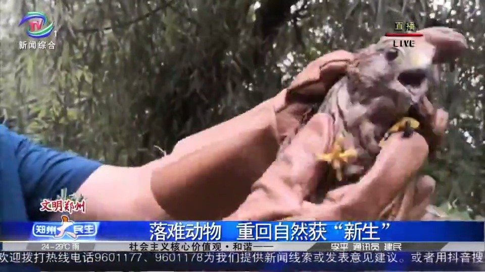 郑州电视台新闻客户端郑州广播电视台新闻客户端