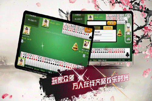 单机双扣手机版单机双扣不要网络-第2张图片-太平洋在线下载