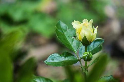 奖虫苹果版下载奖虫app苹果版-第2张图片-太平洋在线下载