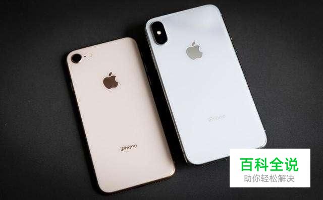 苹果x港澳版与国行版iphone11promax视频-第2张图片-太平洋在线下载