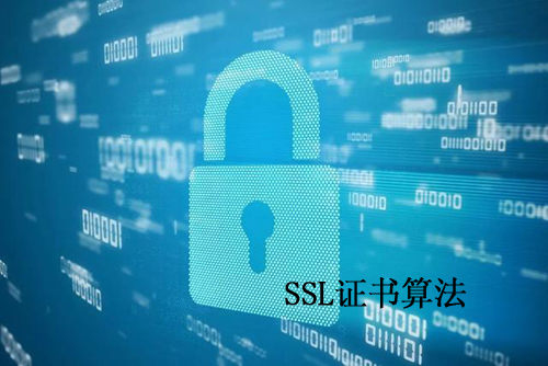 ssl客户端凭据ssl证书内容和密钥在哪找-第2张图片-太平洋在线下载