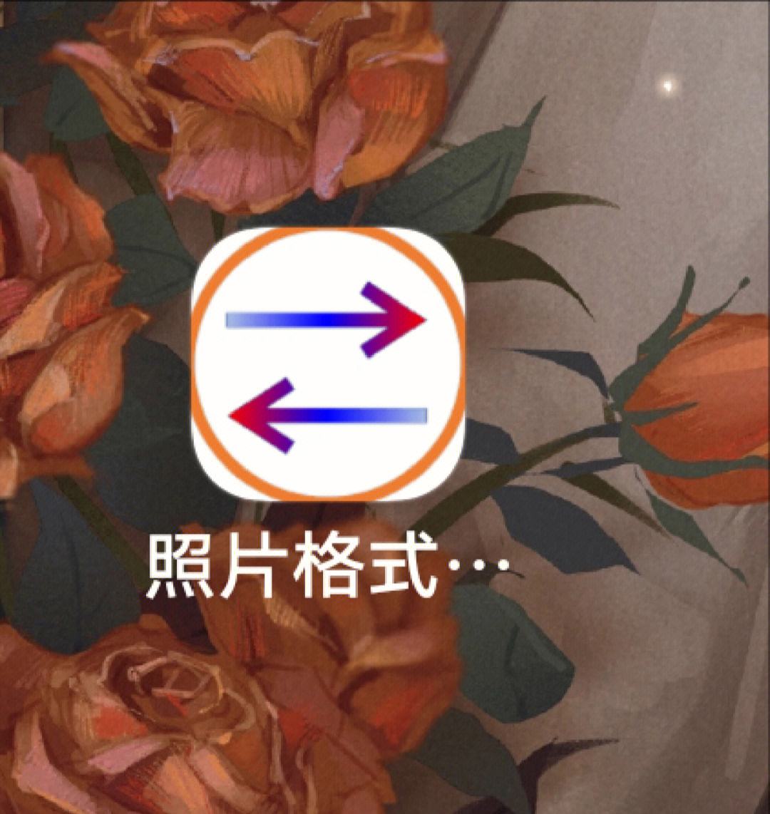 照片转场软件苹果版照片一键生成线稿的软件