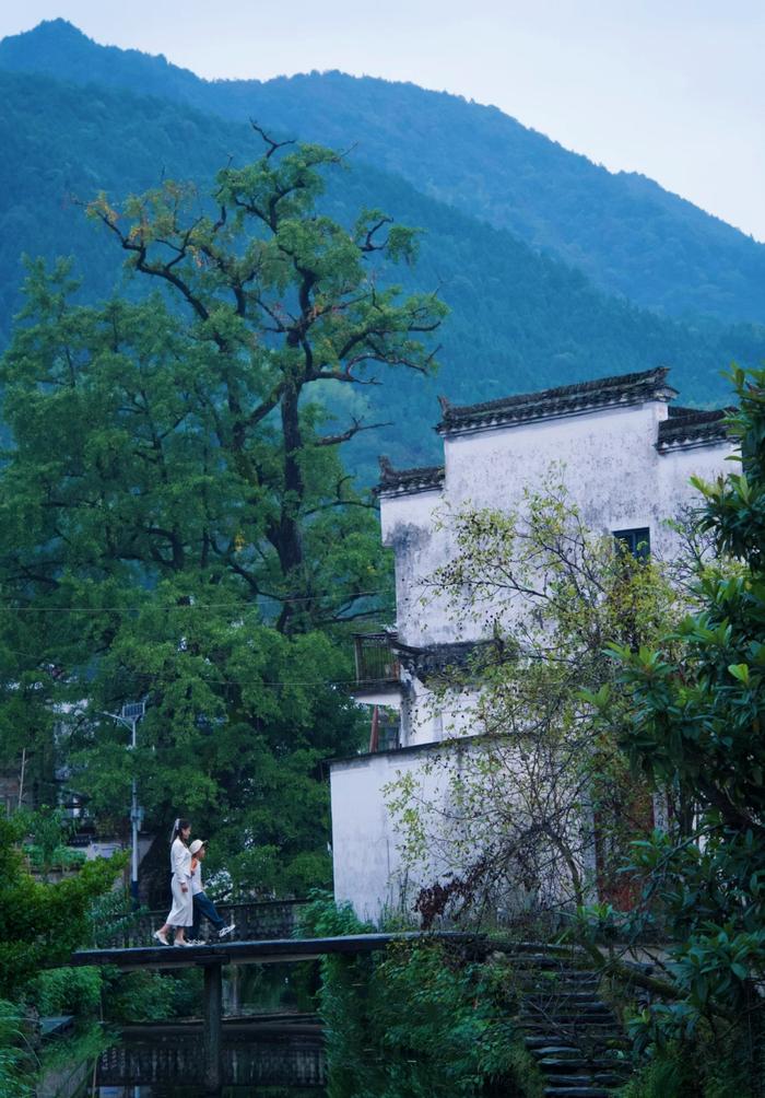 桃源网在线入口手机版桃源网址是代表什么生肖-第2张图片-太平洋在线下载