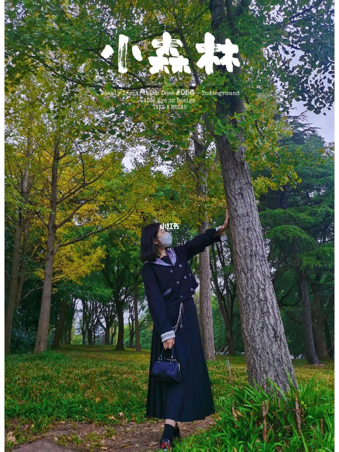 秋日森林手机版全部任务秋日森林不明生物在哪里找-第2张图片-太平洋在线下载