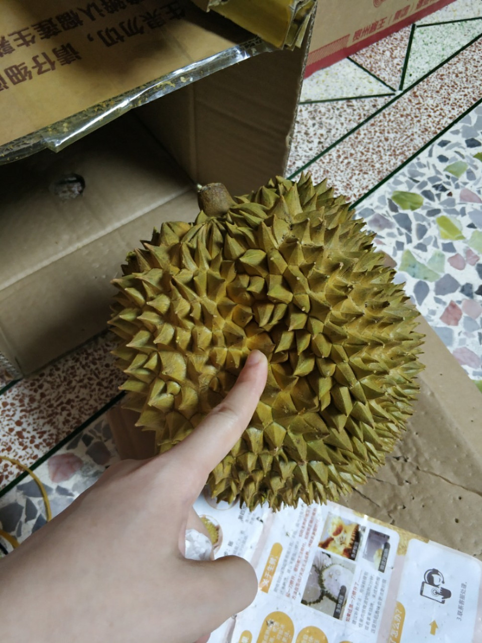 安卓版榴莲视频草莓香蕉葫芦娃榴莲丝瓜安卓版