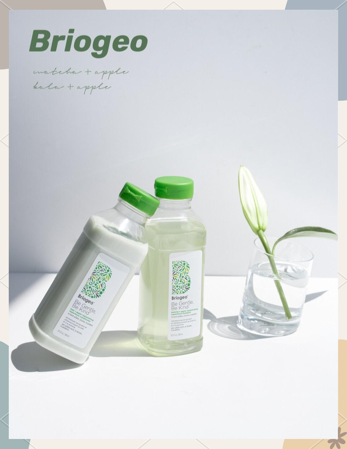 苹果版抹茶下载抹茶直播软件下载苹果下载-第2张图片-太平洋在线下载